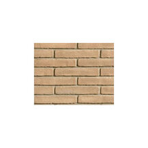 E363400040 Mattone faccia a vista CLASSICO GIALLO PAGLIERINO 5.5x12x25 1bc=357 pz Art. FN21C10501 Terreal SanMarco